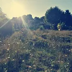 Bed & Breakfast Omnia