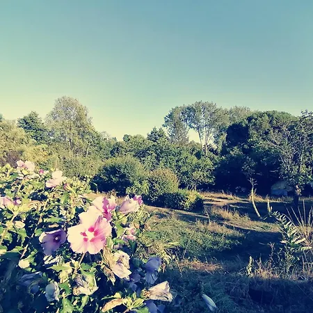 Omnia Bed & Breakfast