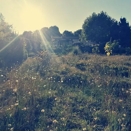 Bed & Breakfast Omnia