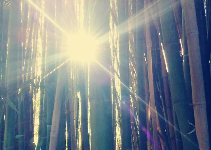 Omnia Bed and Breakfast 3*