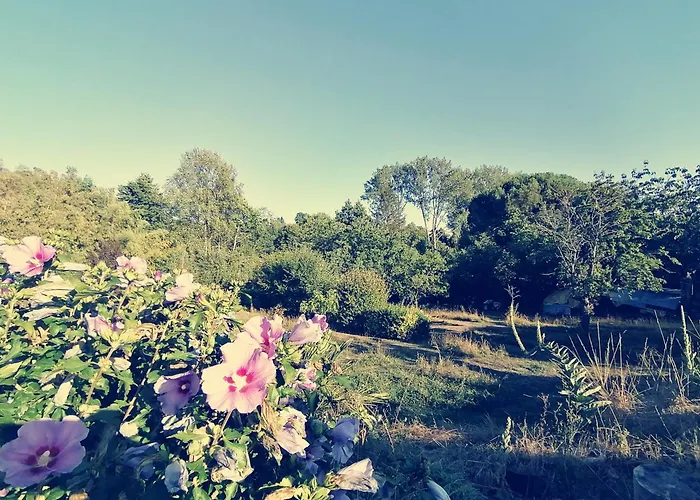 Omnia Bed and Breakfast